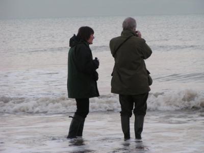 Sandwich Bay