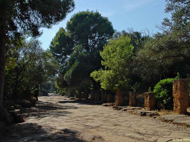 Decumanus Maximus