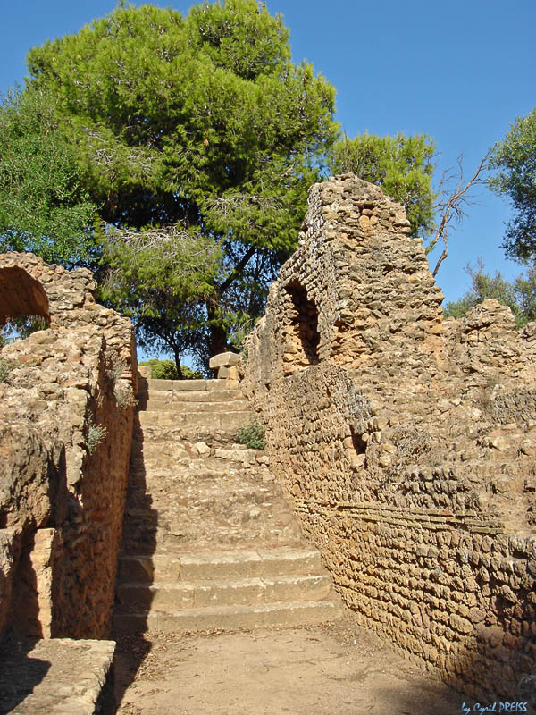 Entre du Theatre