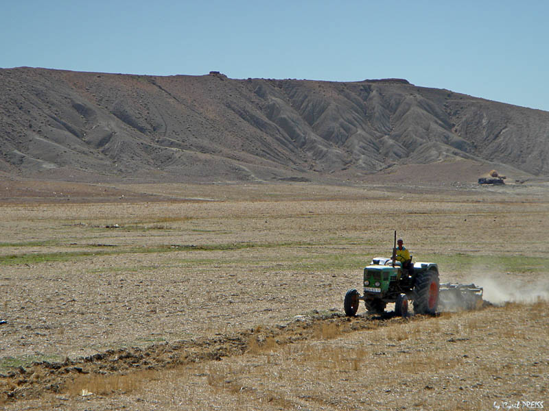Agriculteur sur les hauts plateaux de Ksar el Boukhari