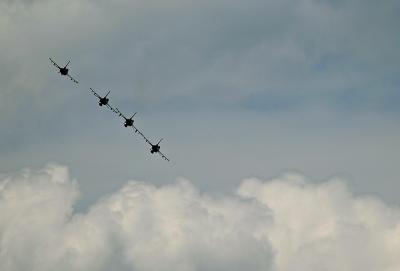 u38/dan_wolf/medium/32078043.busch_04.jpg