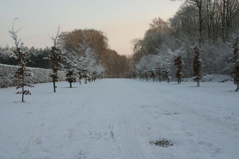 IMG_9791.JPG