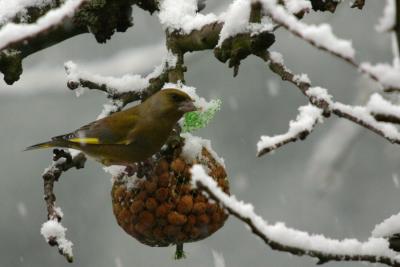 IMG_9787.JPG