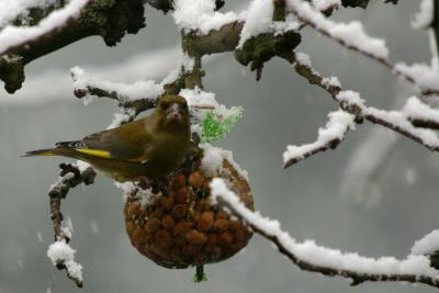 IMG_9788.JPG