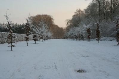 IMG_9791.JPG