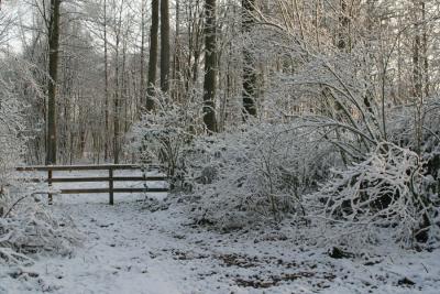 IMG_9829.JPG