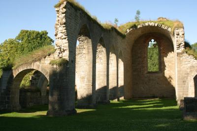 Alvastra - Abbey ruins
