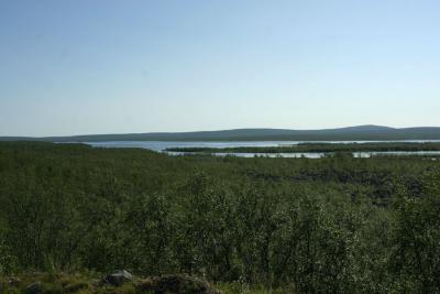 u38/dannyc/medium/32100557.IMG_3156.jpg