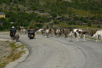 Nordic traffic jam