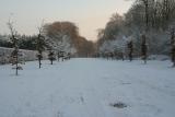 IMG_9791.JPG