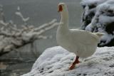 IMG_9845.JPG