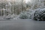 IMG_9853.JPG