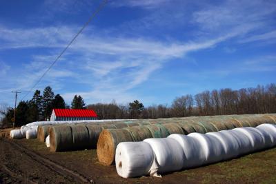 Saxonburg Farm