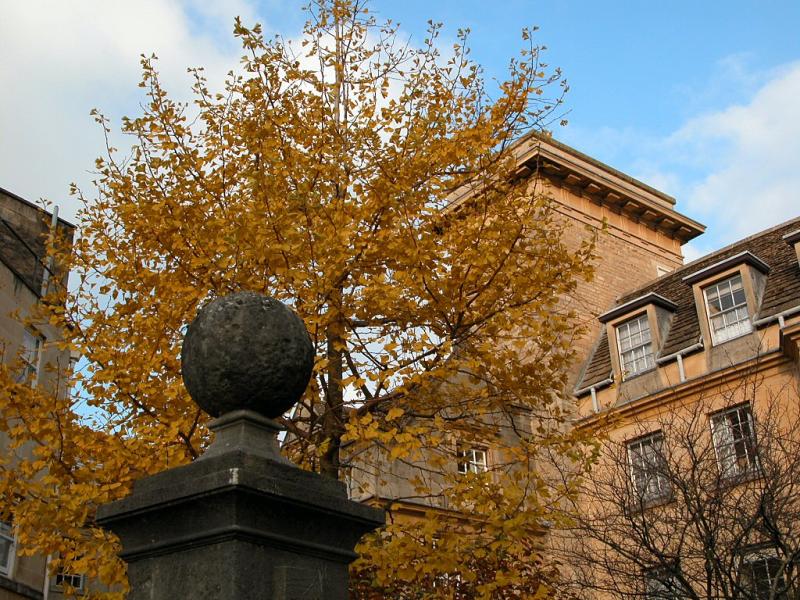 Bath 1103_37.jpg