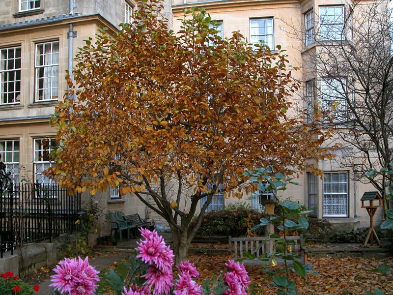 Bath 1103_39.jpg