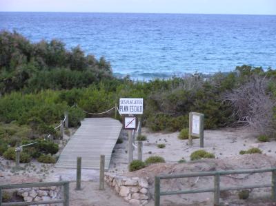 Path to the beach