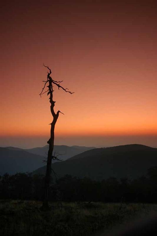 Shenandoah sunrise & sunset