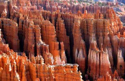 Bryce National Park