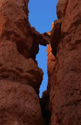 Bryce National Park