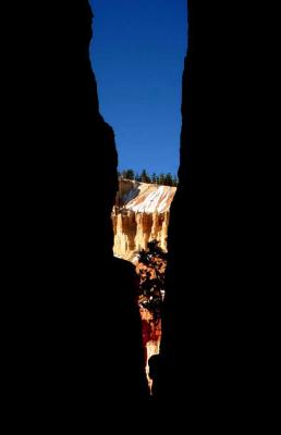 Bryce National Park