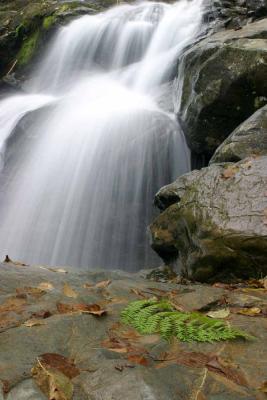 Shenandoah Waterfall