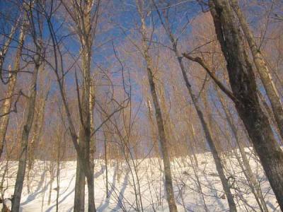 vermont in Winter