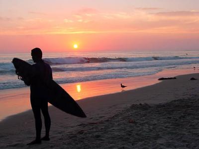 Salt Creek Surfer 2