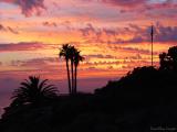 Laguna Beach Sunset 13