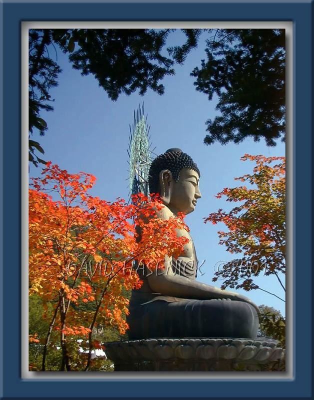 Giant Buddha Statue