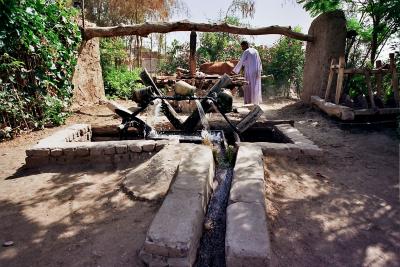 Découverte de Louxor en calèche