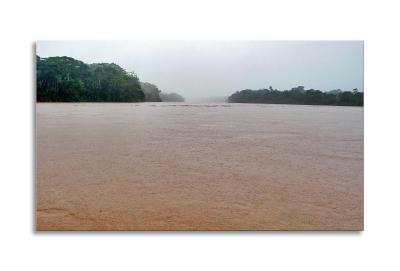 At the confluence of the mighty Madre de Dios and Tambopata Rivers in the Peruvian Amazon Basin. It's very flat; the river only drops 1,800' across the entire continent to the Atlantic Ocean.
