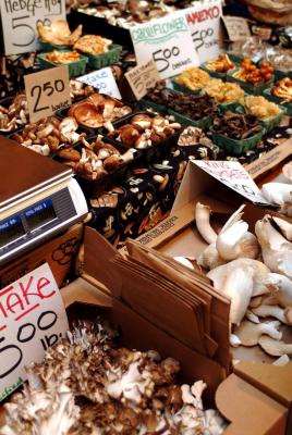 Ferry Building Mushrooms