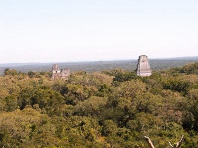 View From Temple number 4