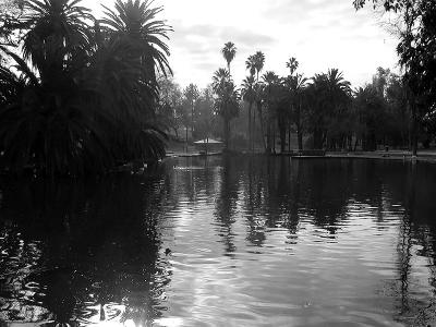 Murray Park Lake