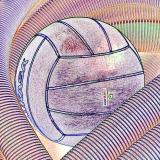 Water Polo Ball