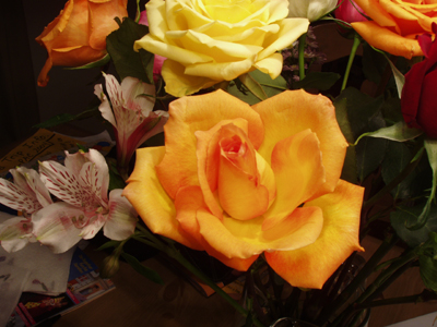 roses