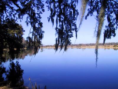 Middleton Place, Charleston, SC