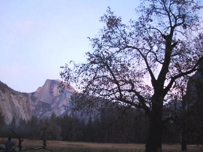 Northern California