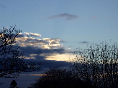 u38/dkite/medium/40285369.P2280021.jpg