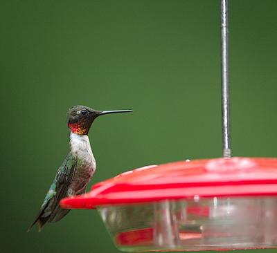 DSC_1026.jpg