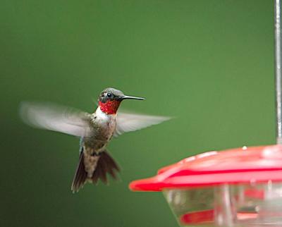 DSC_1027.jpg
