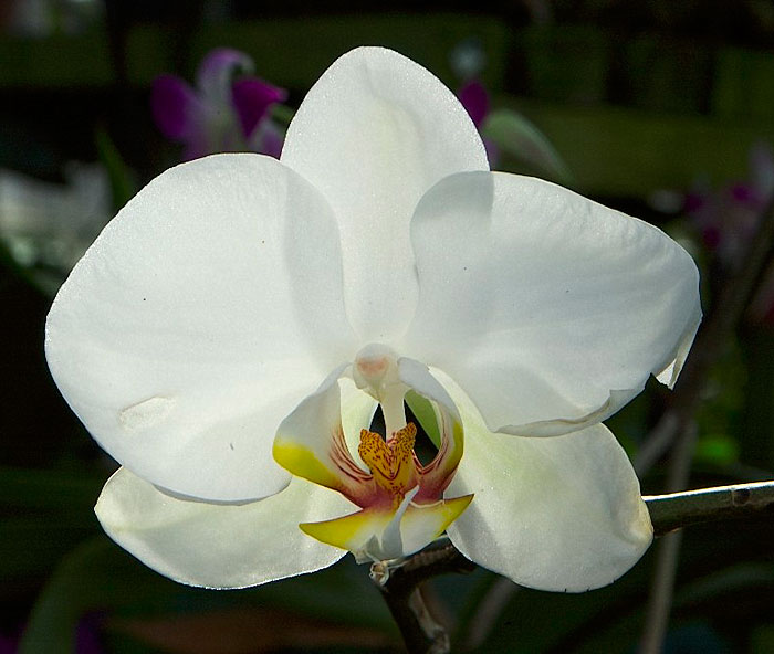 DSC_7595.jpg