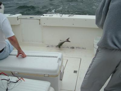 2004_0727Image0523.JPG