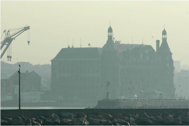 Kadikoy building with cormorants