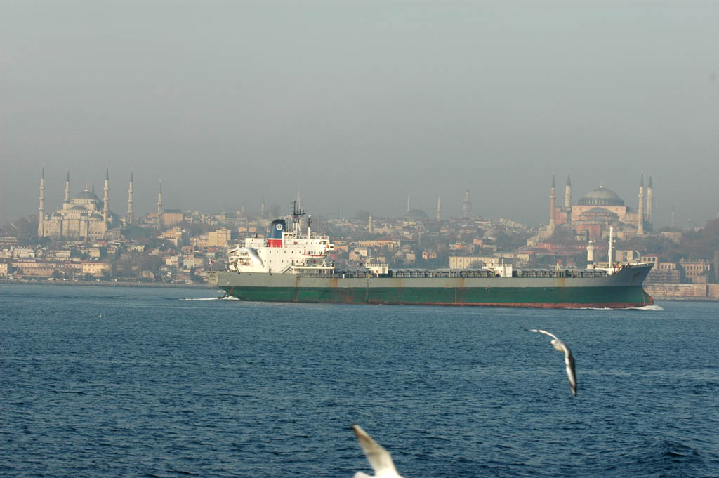 Blue Mosque and Aya Sofia from Bosporus ferry