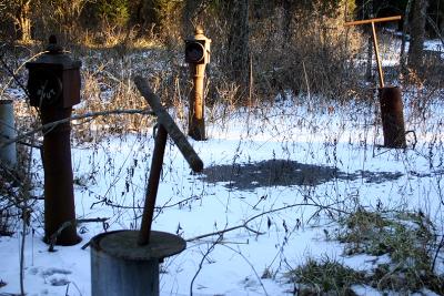 Interesting find in the woods.