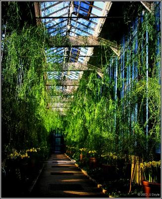 Indoor Spring IV pc.jpg