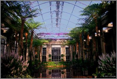 Indoor Spring XVII pc.jpg