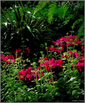 Indoor Spring XXVI pc.jpg