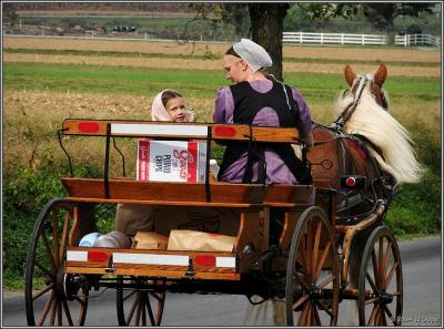 amish country 2a pc.jpg